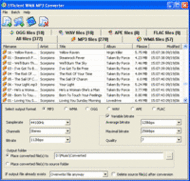 Efficient WMA MP3 Converter screenshot